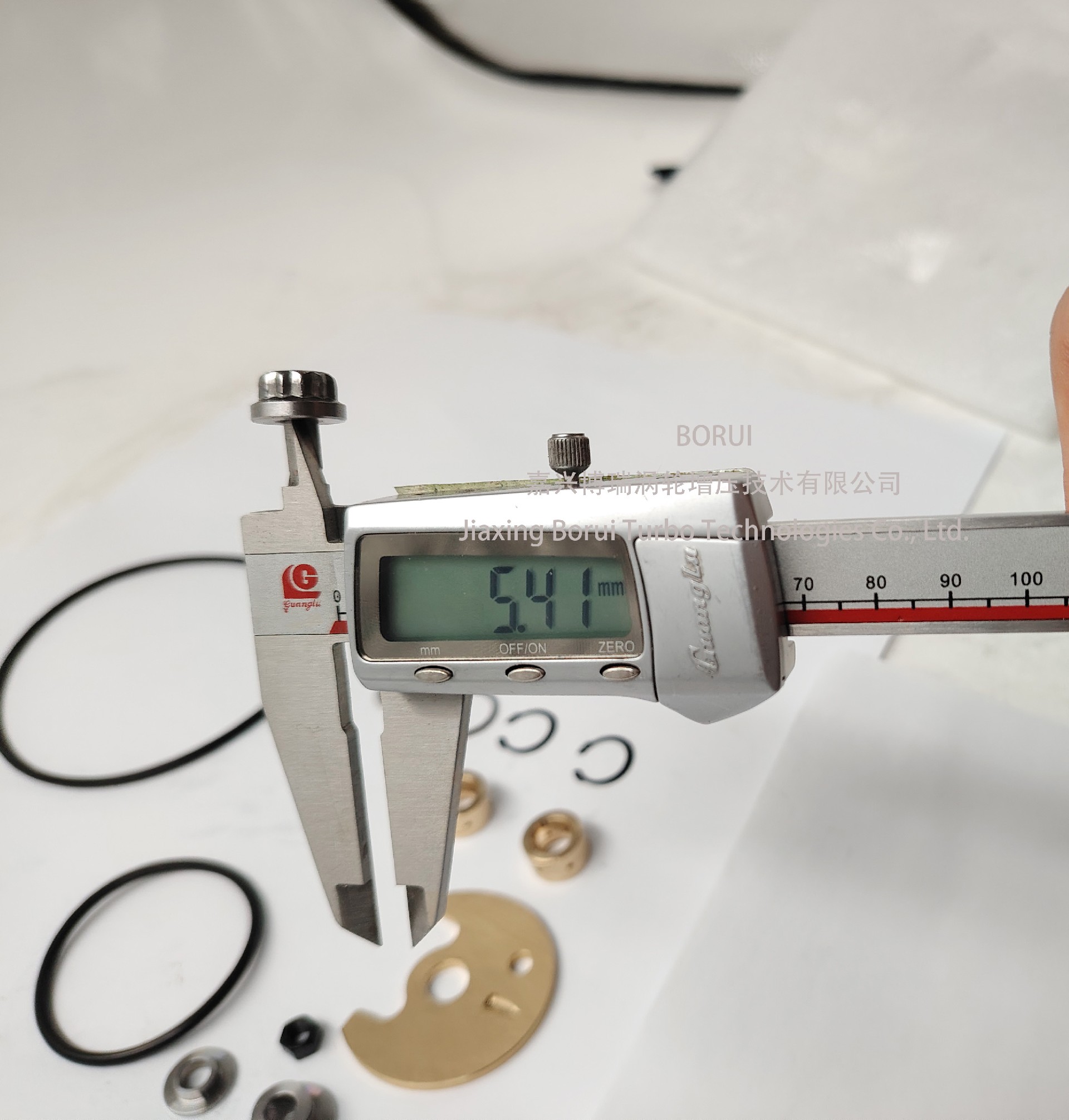 Jiaxing Borui Turbocharging Technology Co., LTD