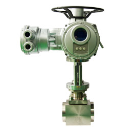 Special Service Forged Steel Control Valve